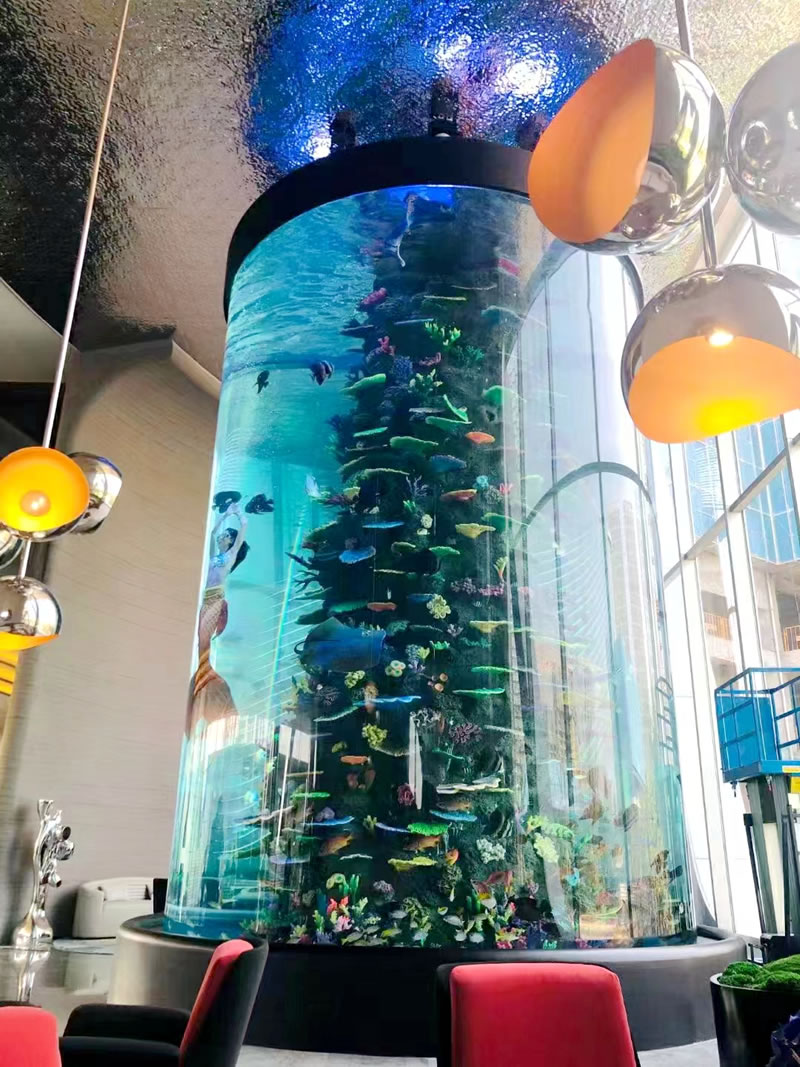 大厅海水缸造景