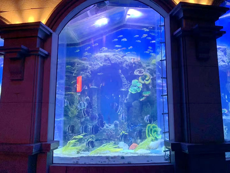 大厅海水缸造景