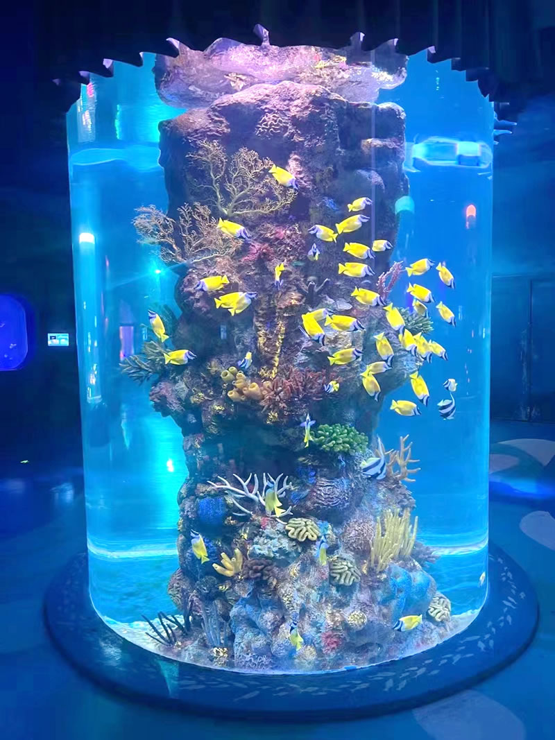 大厅海水缸造景